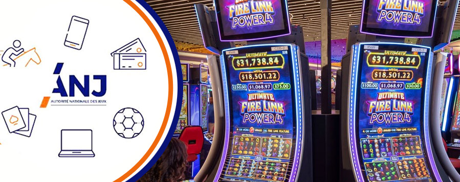 Les instances de Régulation en France et l'ANJ